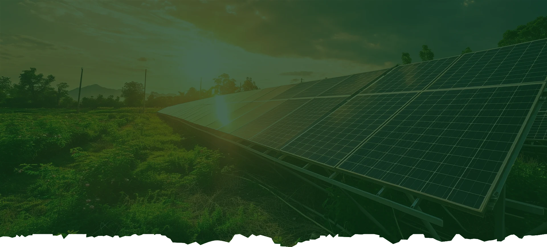 Une ferme a bilan energetique positif slider
